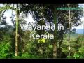 Best Places to Visit in Kerala