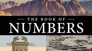 Numbers Part 2