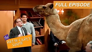 The Drew Carey Show Full Episode Drew Gets Motivated S1 E21