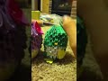 2 - Our 3D Origami Penguins! :D