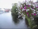 river fergus