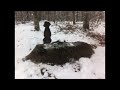 Battue