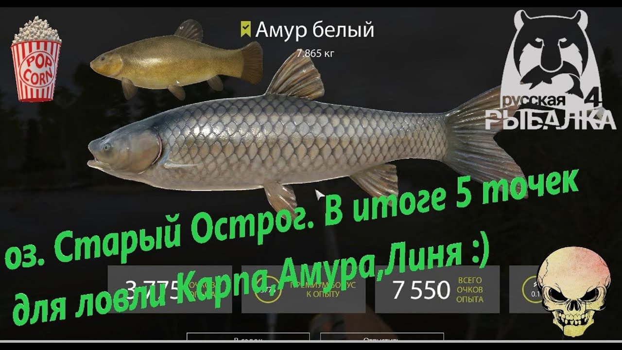 Озеро старый острог ловля налима Озеро старый острог ловля налима
