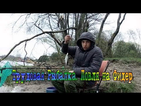 ловить леща на припяти ловить леща на припяти