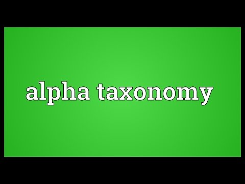 Header of Alpha Taxonomy