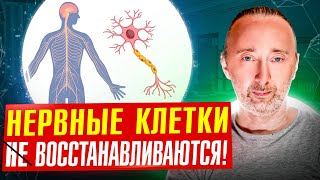 Как Восстановить Нервную Систему? Разработка Учёных Ссср 80-Х Гг.