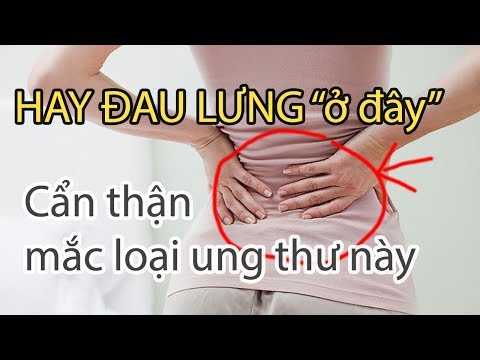 Nếu Thấy Lưng Đau Ở Vị Trí Này, Có Thể Bạn Đã Mắc 1 Trong Những Bệnh Ung Thư Ác Tính Này
