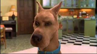 ScoobyDoo PL Najśmieszniejsze Sceny z Filmów xD cz.1
