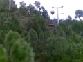 Muree Zakir Ali