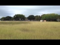 360 degree View Of Shiner Landing Property Available - Shiner, Texas 360 degree View Of Shiner Landing Property Available - Shiner, Texas