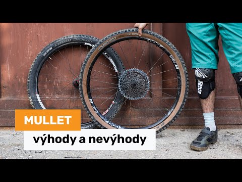Mullet - výhody a nevýhody