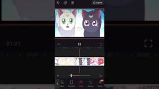Sailor Moon Twixtor Mess Up
