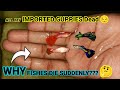 WHY FISHES DIE SUDDENLY ? |IMPORTED GUPPIES DEAD | GUPPIES DIED | REASON WHY FISHES DIE |GUPPIES