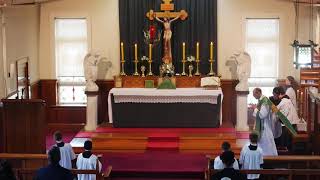 SSPXNZLIVE - Nineteenth Sunday after Pentecost Sung Mass - 11 October 2020