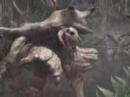 Monster hunter 2 opening