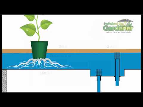hydroponic made simple itunes