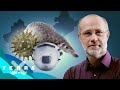 Corona: Was weiß die Wissenschaft? – Leschs Kosmos [Ganze TV...