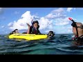 Excursion ECOTOUR avec l'Aquarium de la Guadeloupe (randonnée palmée, snorkeling)