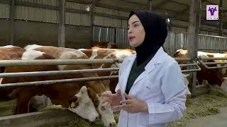 Ankara’da üreticilik yapan Beyobalı çiftliği ile Ofis Yem hakkında keyifli bir s