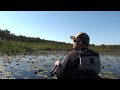 KAYAK BASS FISHING - EARLY FALL CLONE FROG FISHING