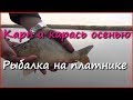 Рыбалка. Ловля карася и карпа в октябре. Рыбалка. Ловля карася и карпа в октябре.