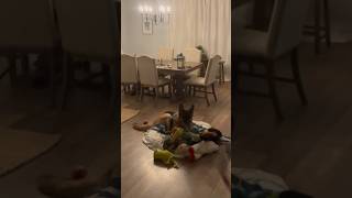 Throwing All My Dogs Toys At His Face In 60 Seconds