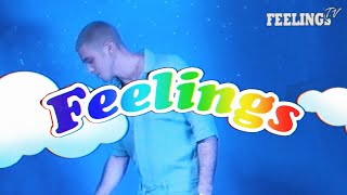 Watch Lauv Feelings video
