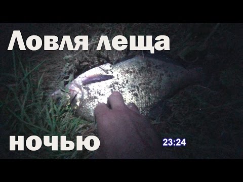 снасть для ловли ловля леща ночью снасть для ловли ловля леща ночью
