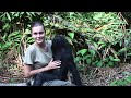 The world's first bonobo release!