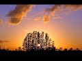 Theodora, As With Rosy Steps the Morn, Susan Bickley, mezzo-soprano