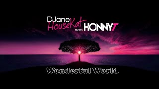 Djane Housekat Meets Honnyt - Wonderful World (Preview)