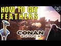 How to get Feathers in Conan Exiles - Location and Tutorial - 2018