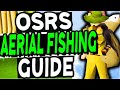 The Ultimate Aerial Fishing Guide Old School Runescape