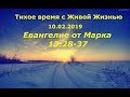 Тихое время с Живой Жизнью: от Марка 13:28–37 (10022019)