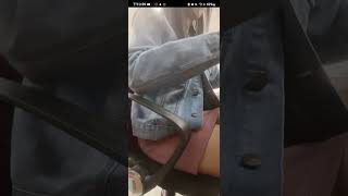 Bigo Id 846386245