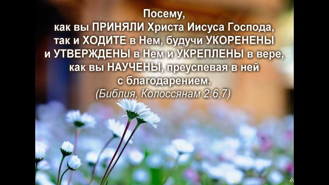 Худая блондинка отблагодарила своего заступника сексом на кресле