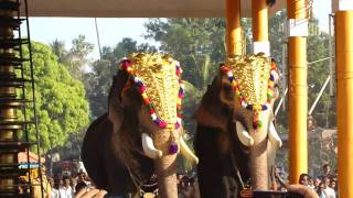 Elephant ,Cherai Thalapokkam Pattath Srikrishnan Vs Mangalamkunnu Ayyappan - 2011 Hq