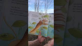 Story Spot: Ms. Julie Reads "ThePout Pout Fish"