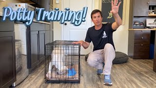 Potty Training Your Puppy