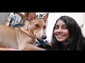 Kissing my dog too many times | Funniest video ever | Try not to laugh