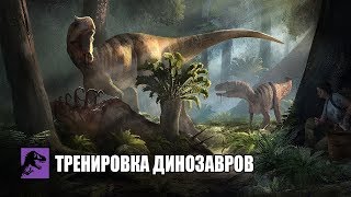Тренируем Динозавров 🔴