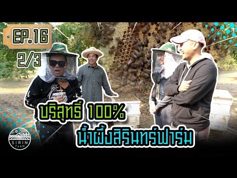 บริสุทธิ์ 100% น้ำผึ้งสิรินทร์ฟาร์ม Pure&Delicious Honey from SirinFarm EP.16 (2/3)