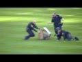 RIVES MILLER GROGAN ANTI- ABORTION PROTESTER RUNS ONTO BASEBALL FIELD 2012 NLDS CINCINNATI REDS
