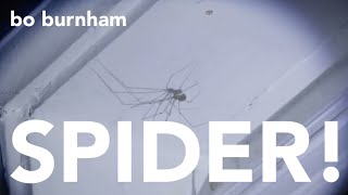 Watch Bo Burnham Spider video