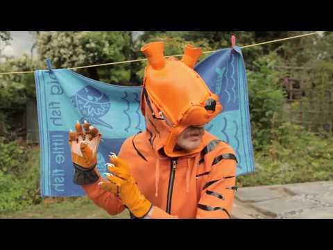 Tigers Video