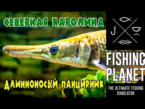 как ловить длинноносого панцирника как ловить длинноносого панцирника