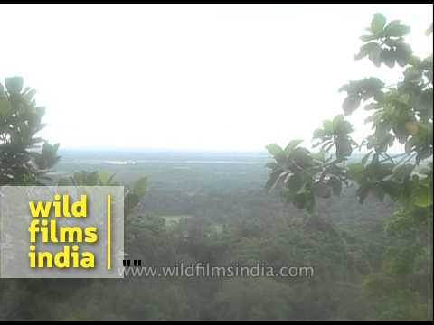 Pak firing kills 2 Army jawans, one woman in JandKs Tanghdar.