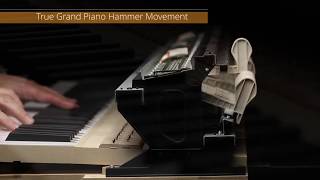 The next generation Celviano Grand Hybrid GP-510 and GP-310 Hybrid Pianos from Casio