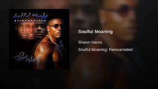Watch Shawn Harris Soulful Moaning video