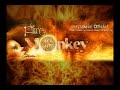 Fire Monkey - Handful of Nothing (Pain of salvation)